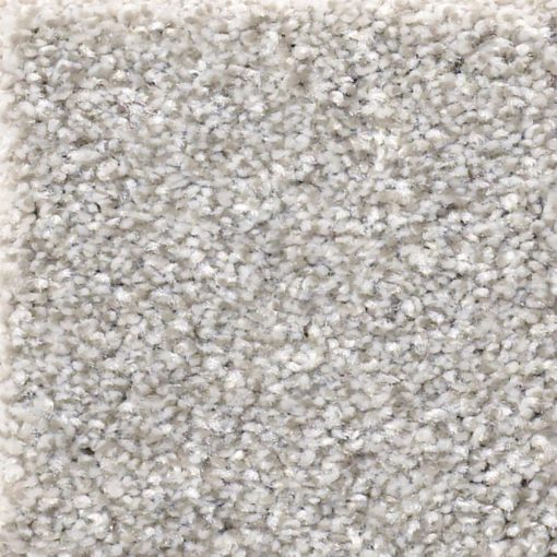 Clay 00122 - Shaw Carpet Make it Mine