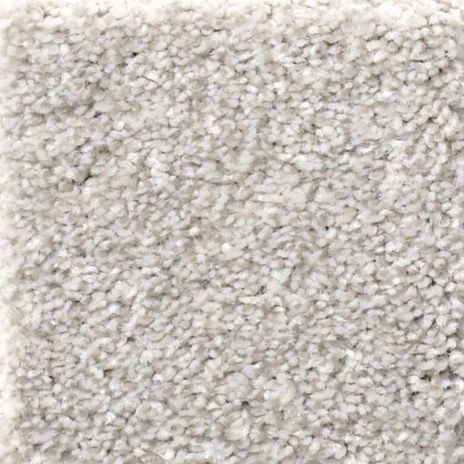 Soft Fleece 00120 - Shaw Carpet Make it Mine